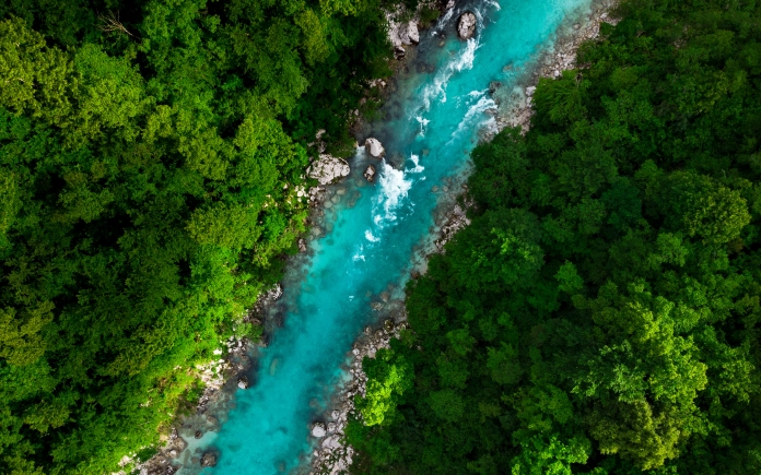 Bright blue river cutting through a green forest